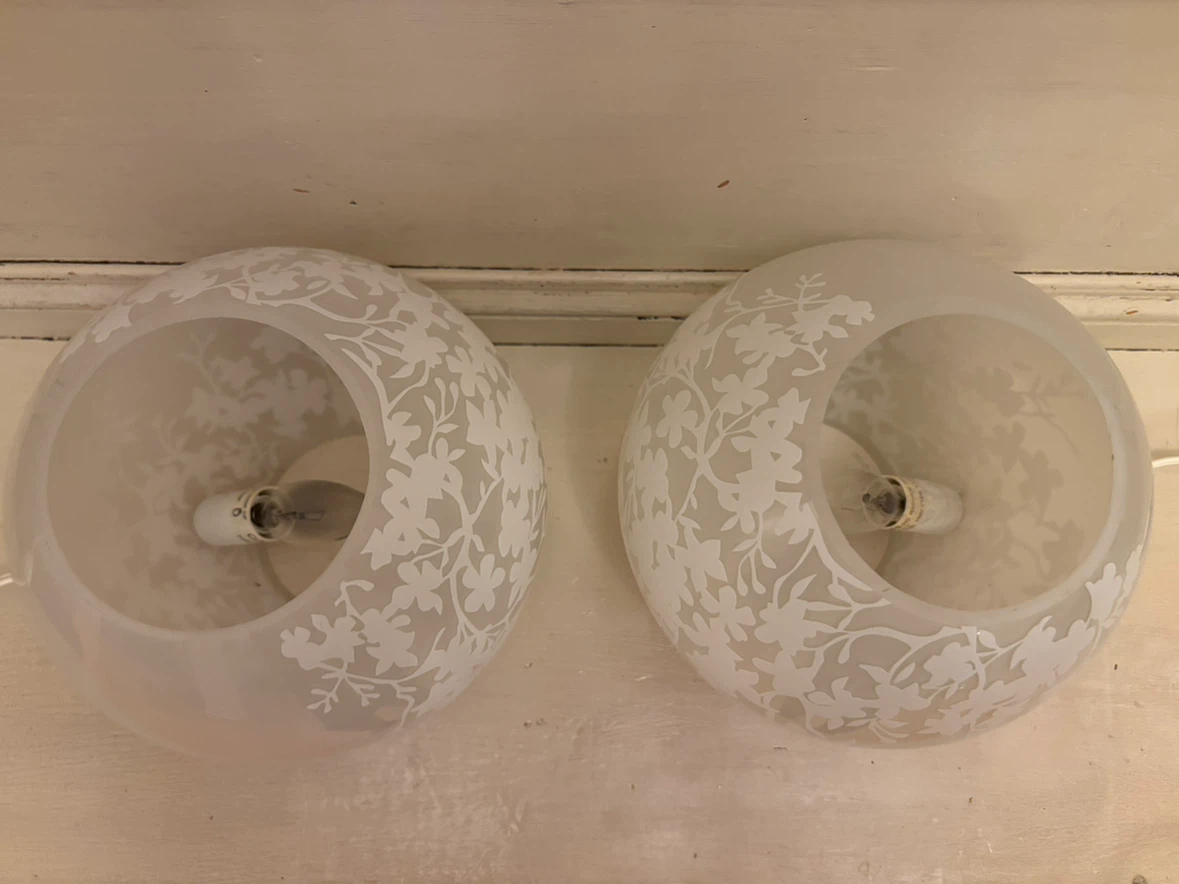 Set of Two Floral Frosted Glass Globe Lamps - photo 3