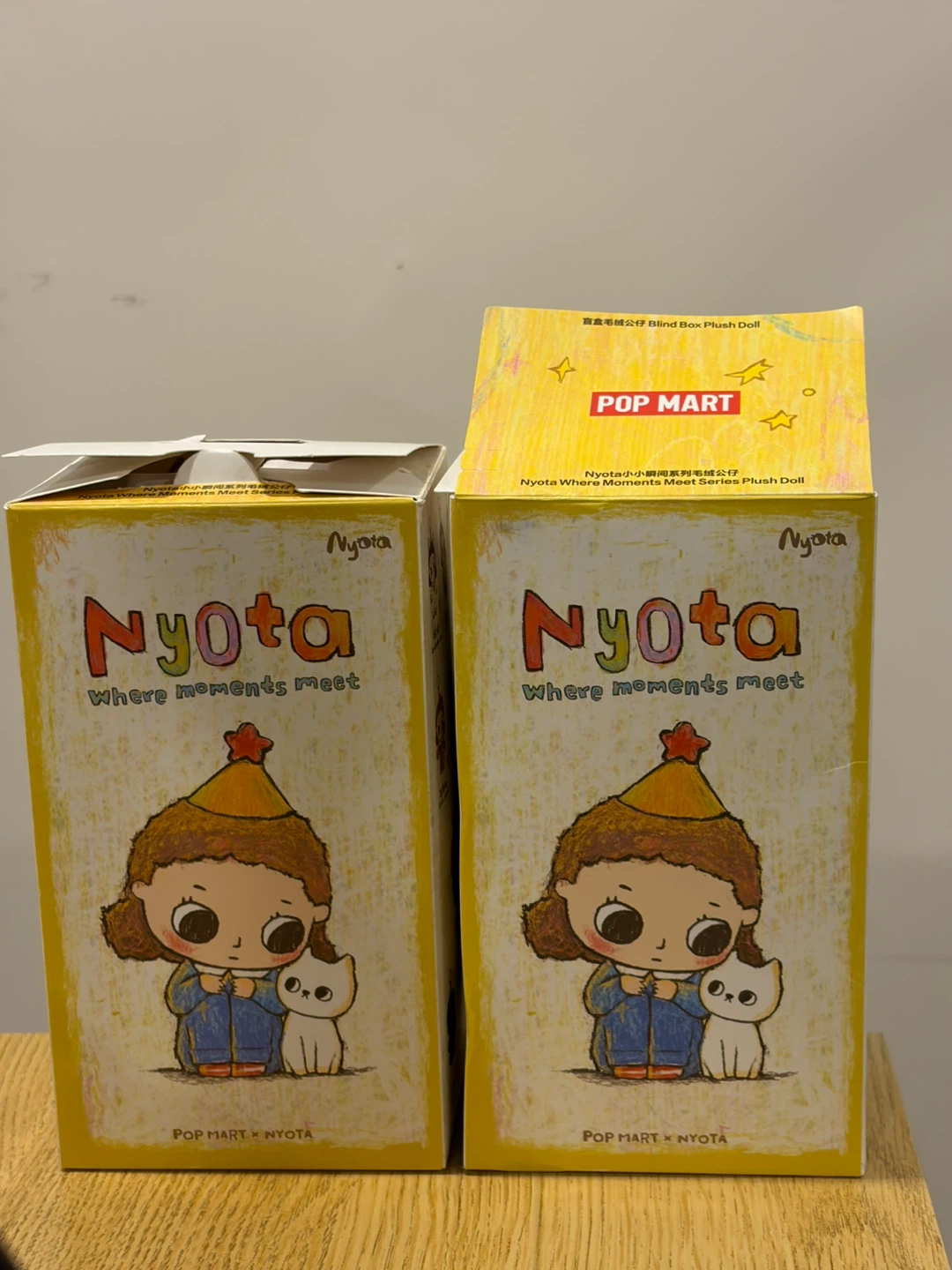 Pop Mart Nyota Plush Doll Blind Box