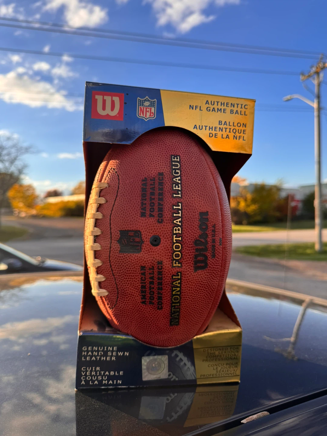 Wilson NFL Authentic Game Ball