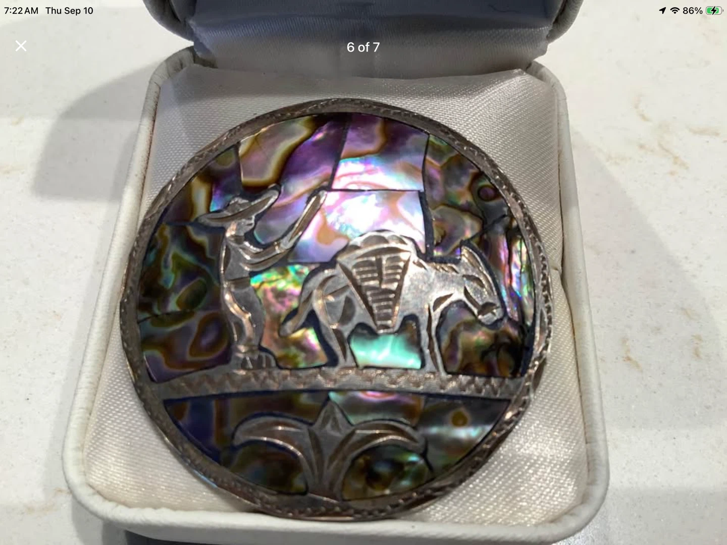 Vt S Silver & Abalone Inlay Figural Brooch/Pendant 🐞