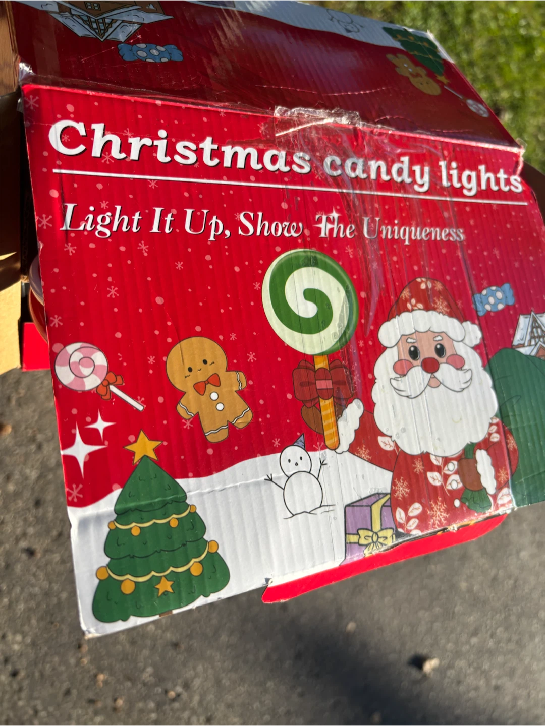 Outdoor Christmas Candy LED String Lights - photo 4