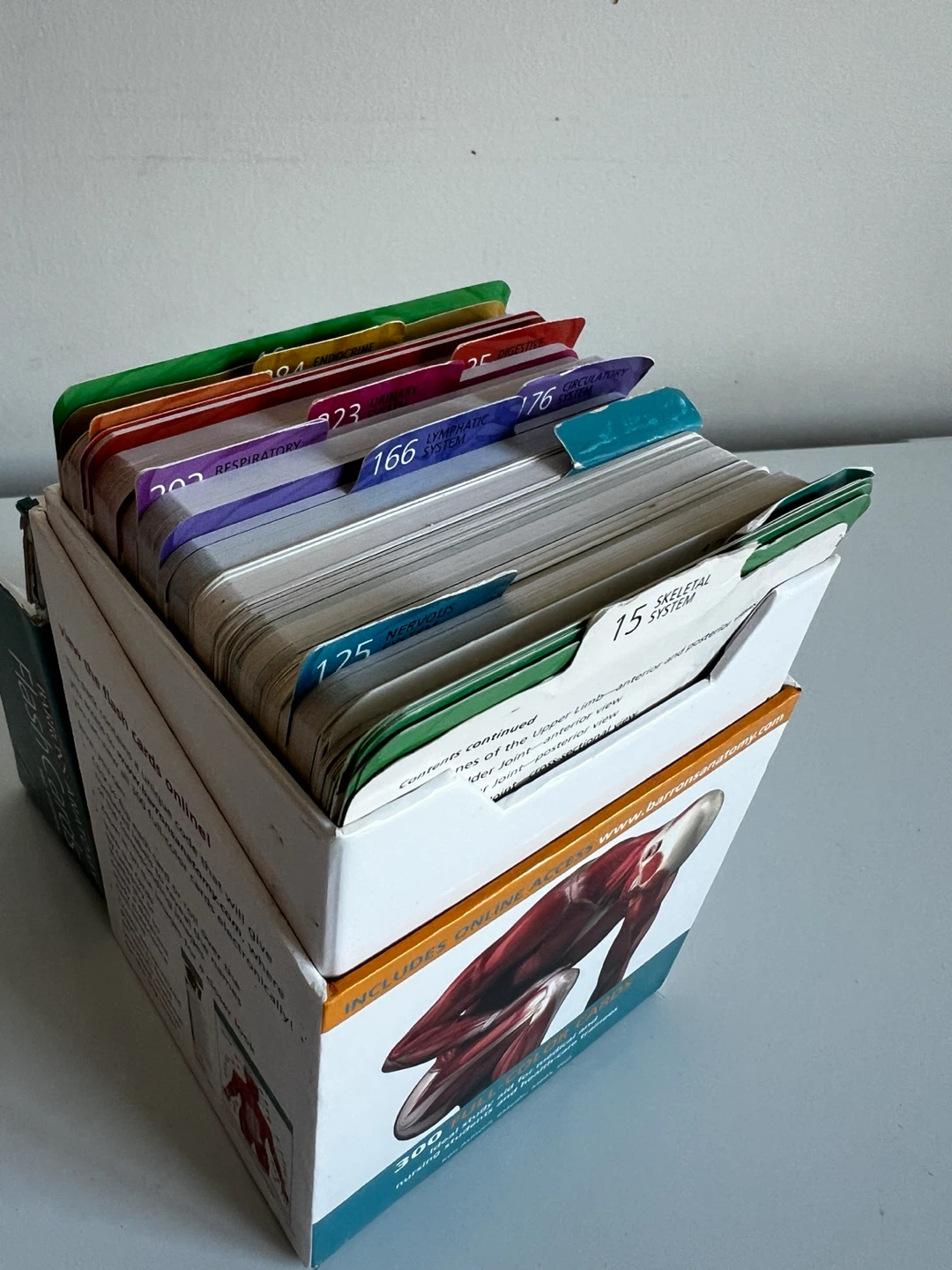 Barron's Anatomy Flash Cards 3rd Edition - photo 2