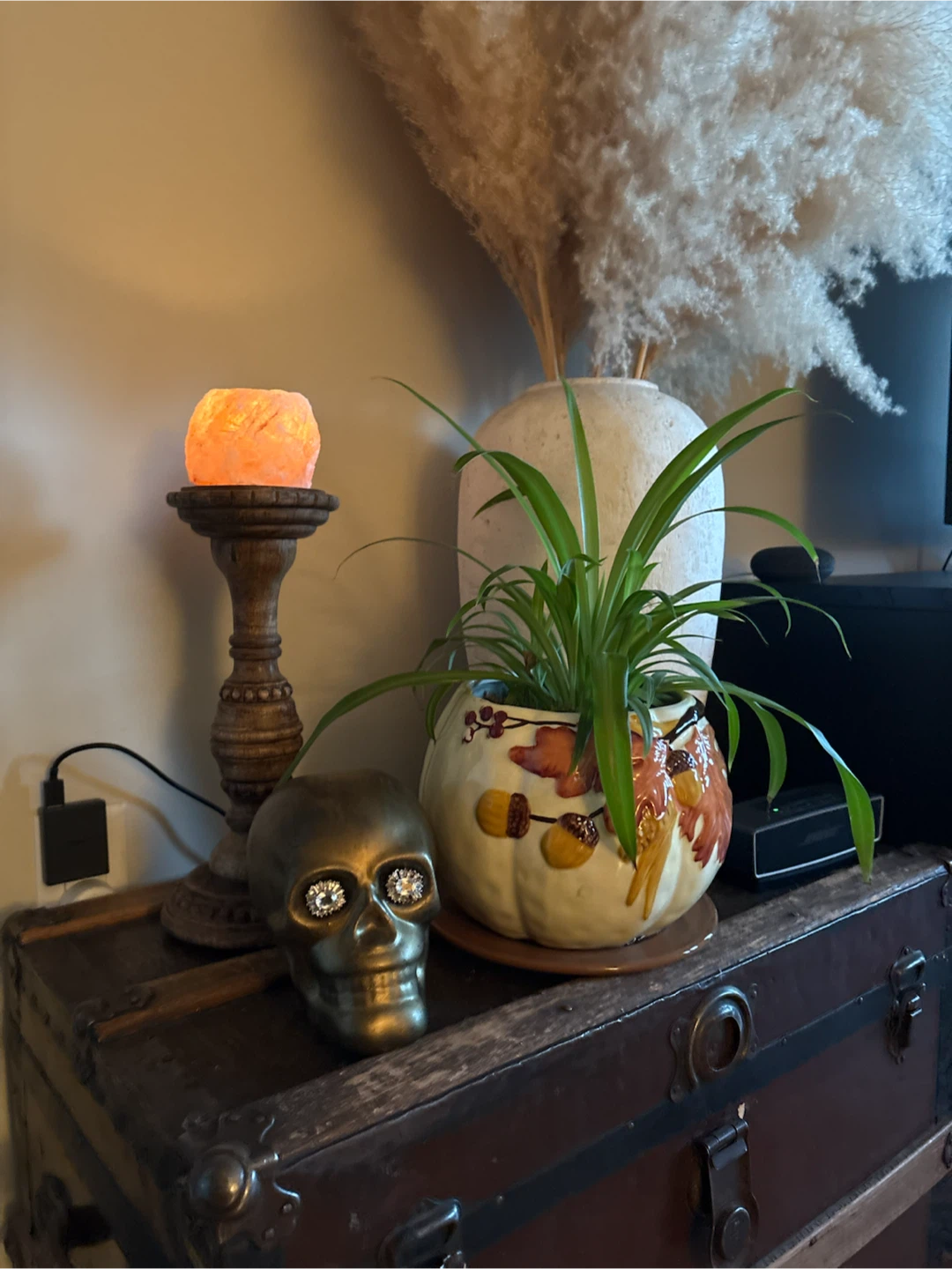 Vintage Fall  flower pot with Spider plant