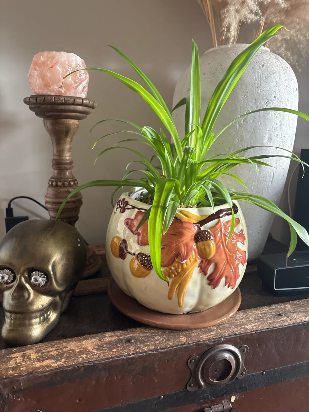 Vintage Fall  flower pot with Spider plant - photo 2