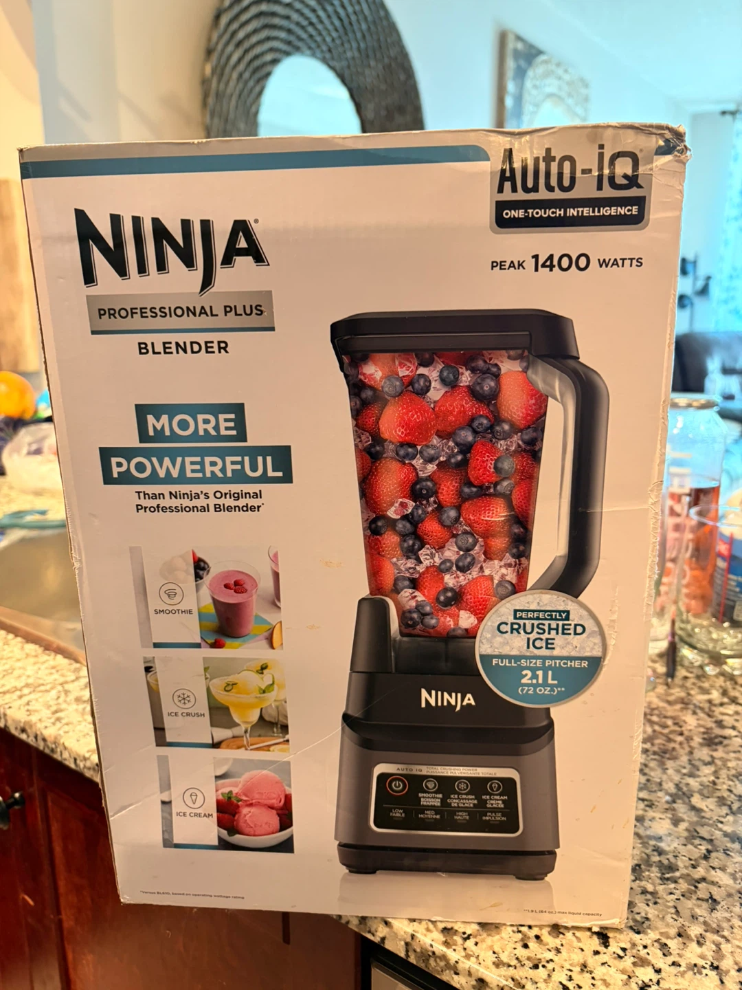 Ninja Professional Plus Blender