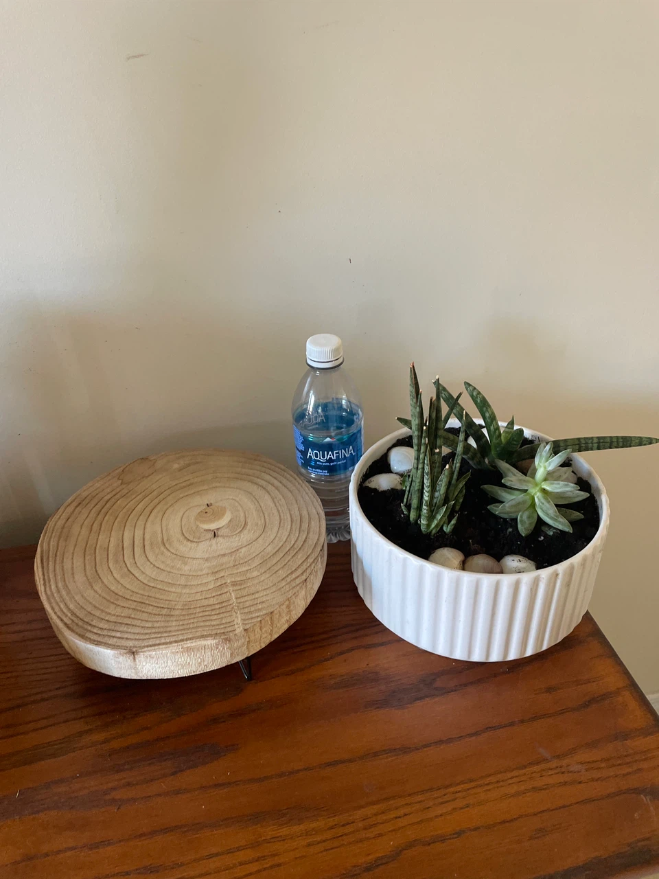 Succulent Arrangement in Ceramic Pot - photo 4