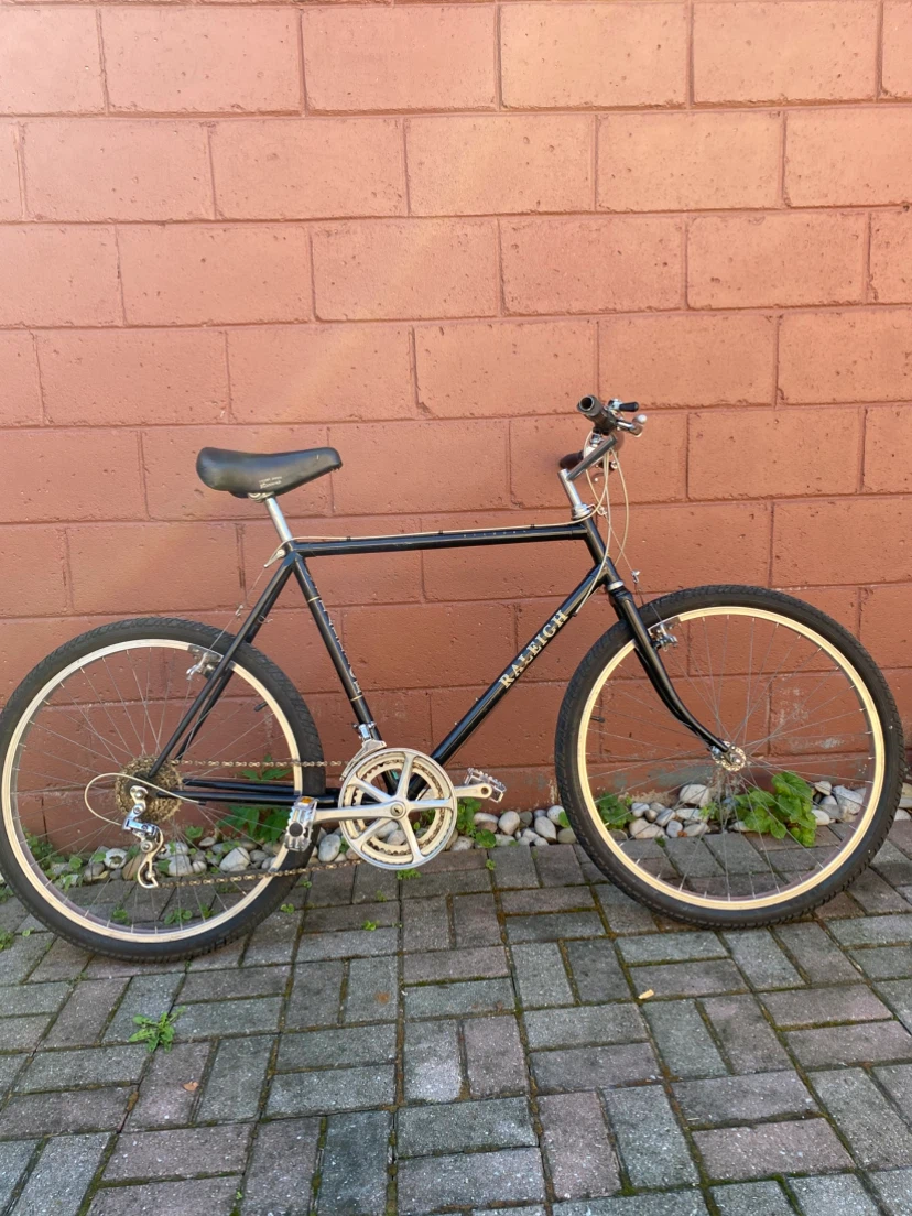 Mtb Raleigh Bighorn vintage bike