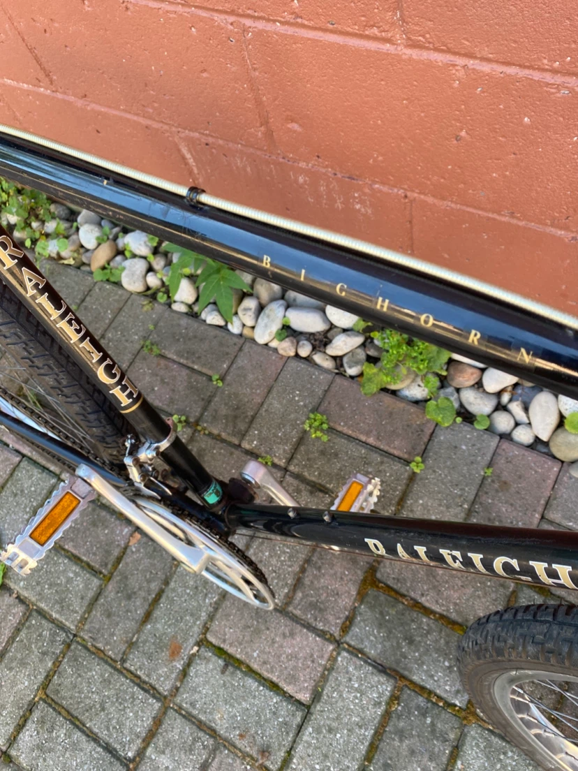 Mtb Raleigh Bighorn vintage bike - photo 2