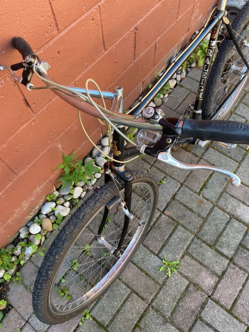 Mtb Raleigh Bighorn vintage bike - photo 4