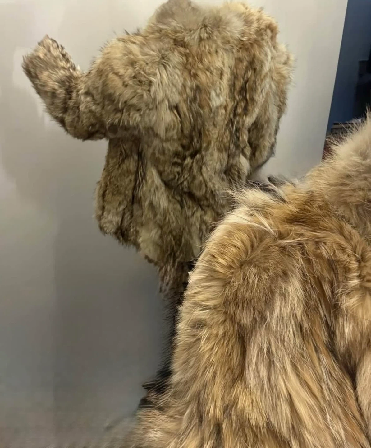 Vintage Coyote Fur Coat - photo 2