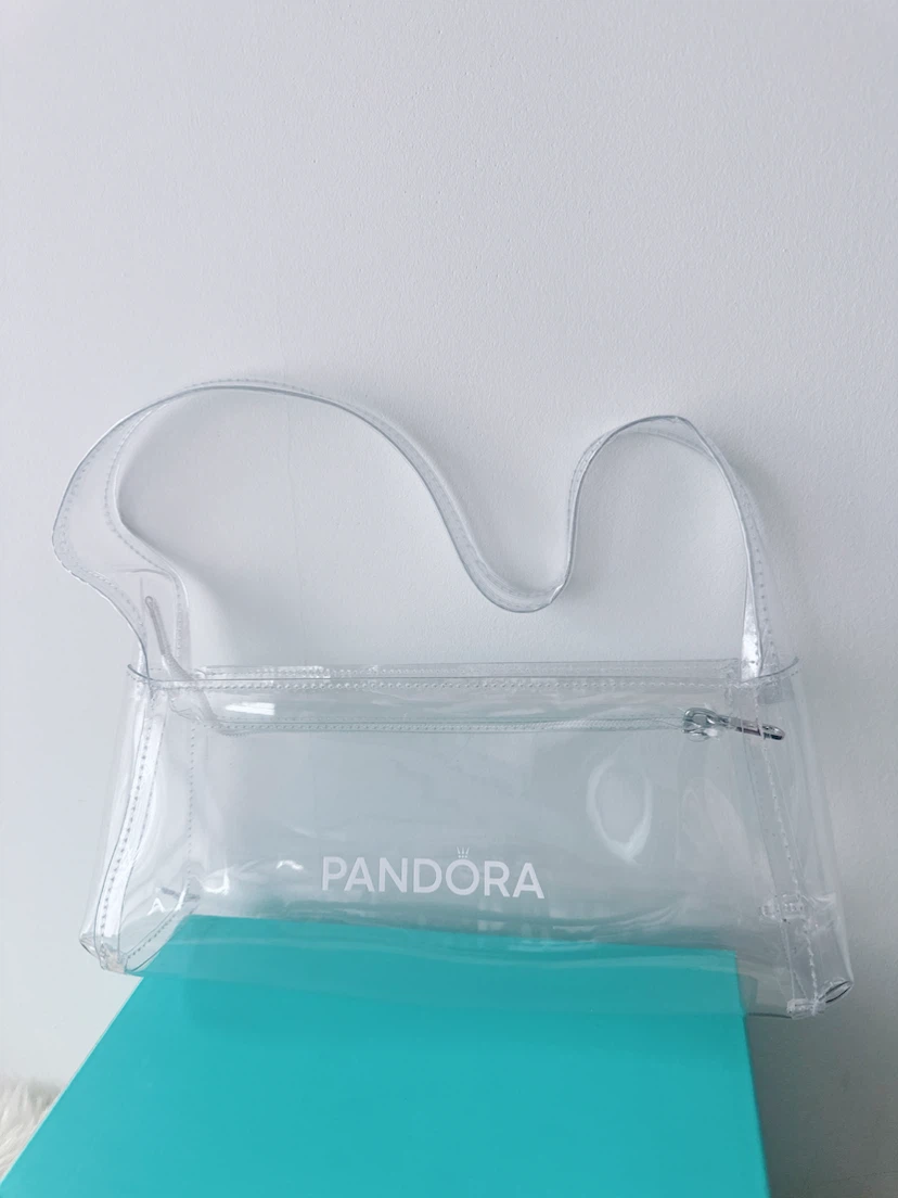 Clear Pandora PVC Handbag - photo 2