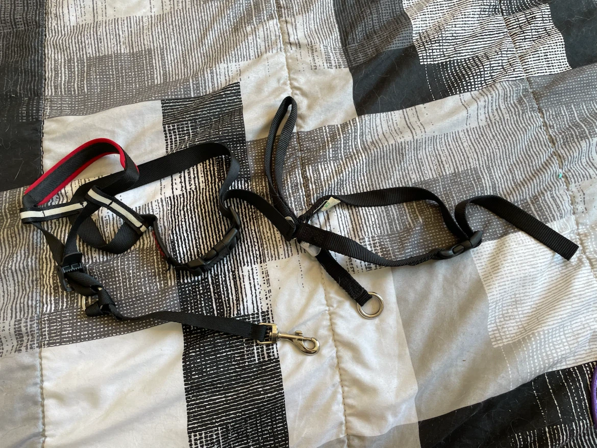 Medium Dog Halti Head Collars