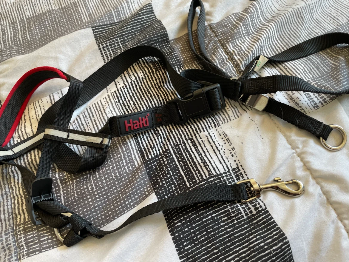 Medium Dog Halti Head Collars - photo 2