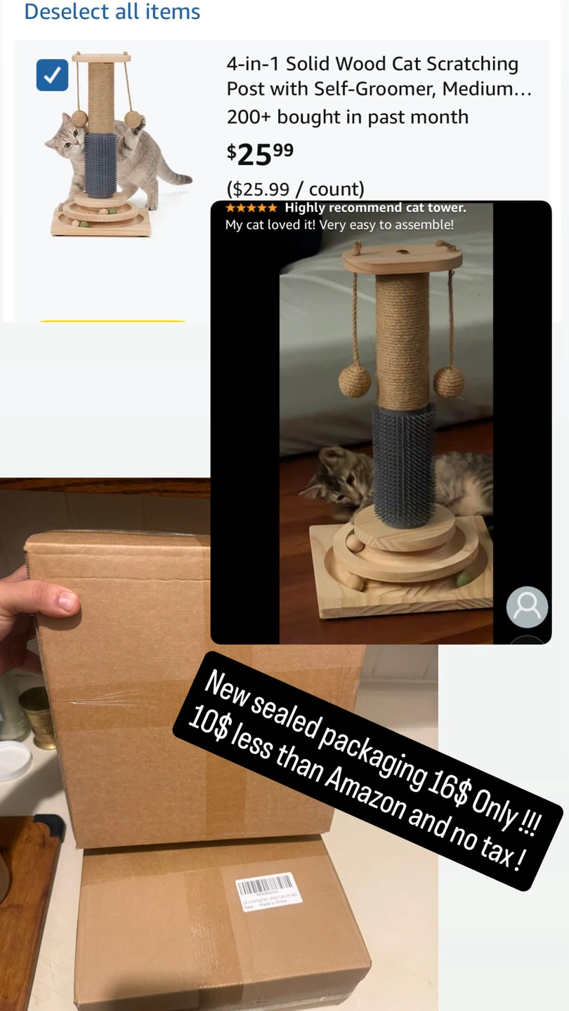 4-in-1 Solid Wood Cat Scratching Post Medium