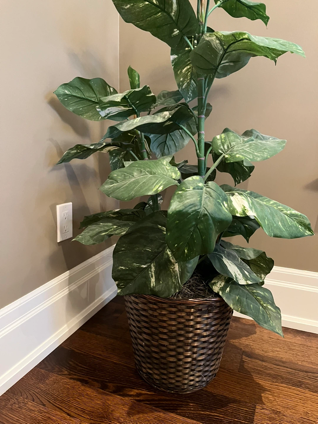 Artificial Plant