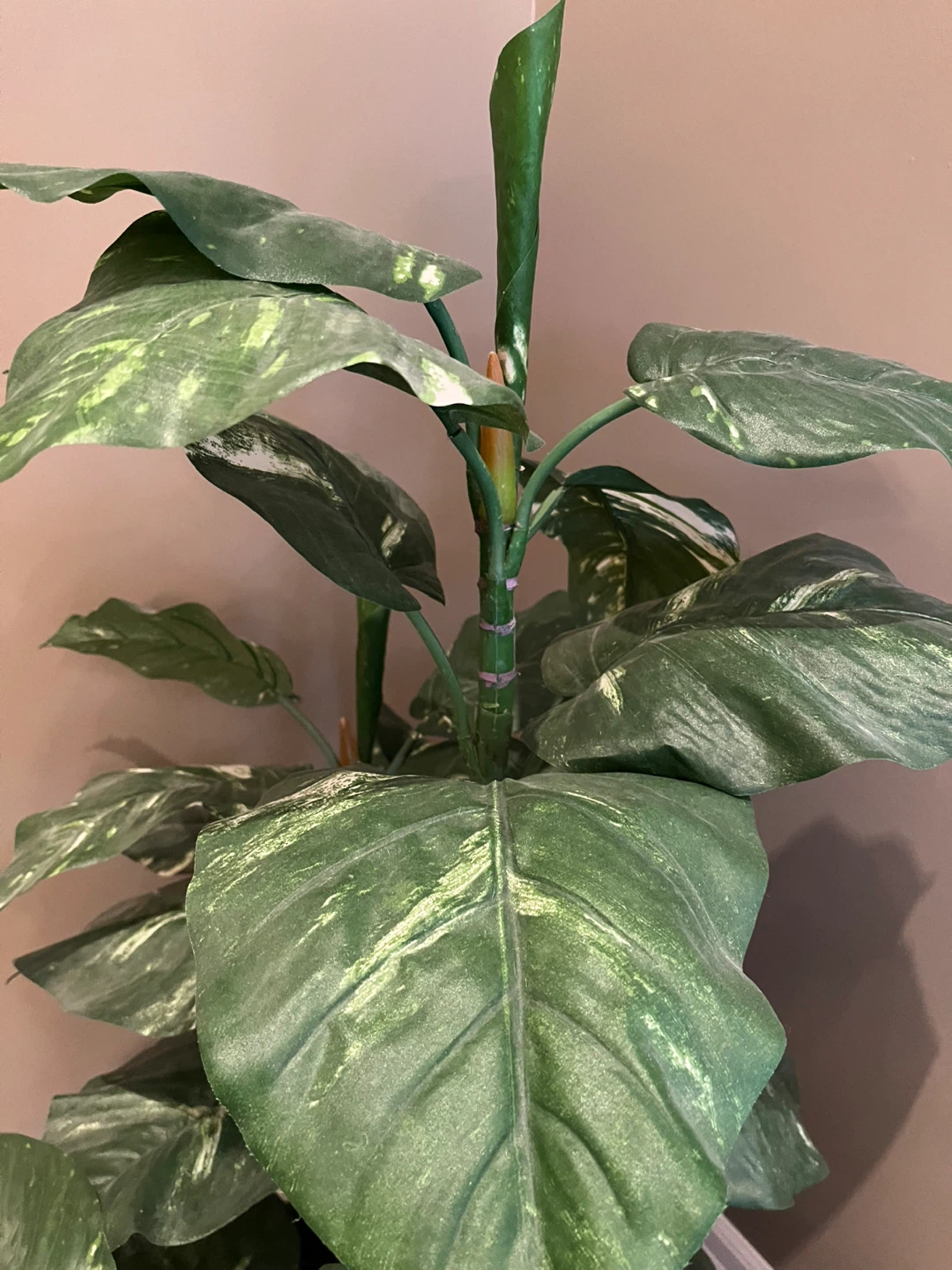 Artificial Plant - photo 2