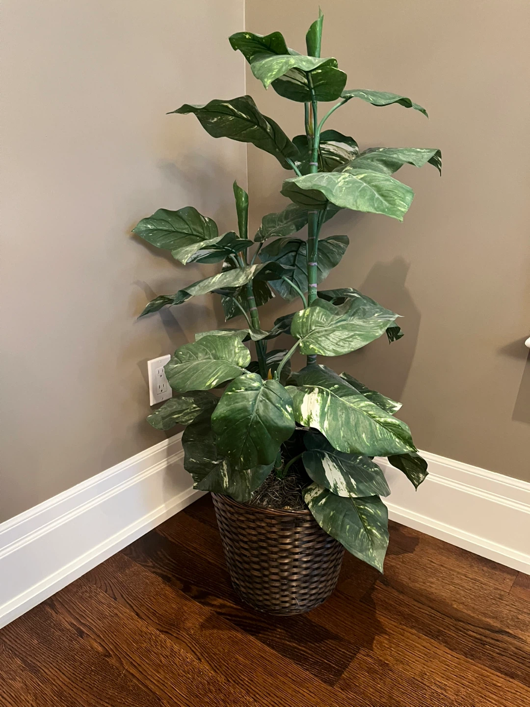 Artificial Plant - photo 3