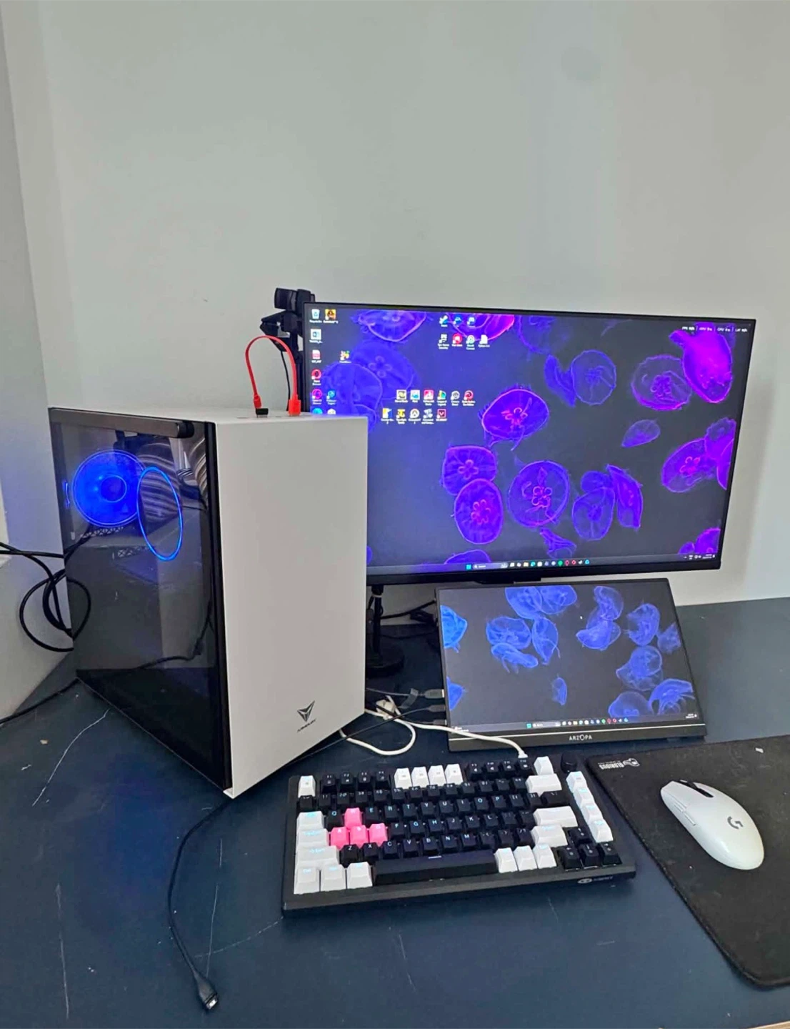 PC + Monitor