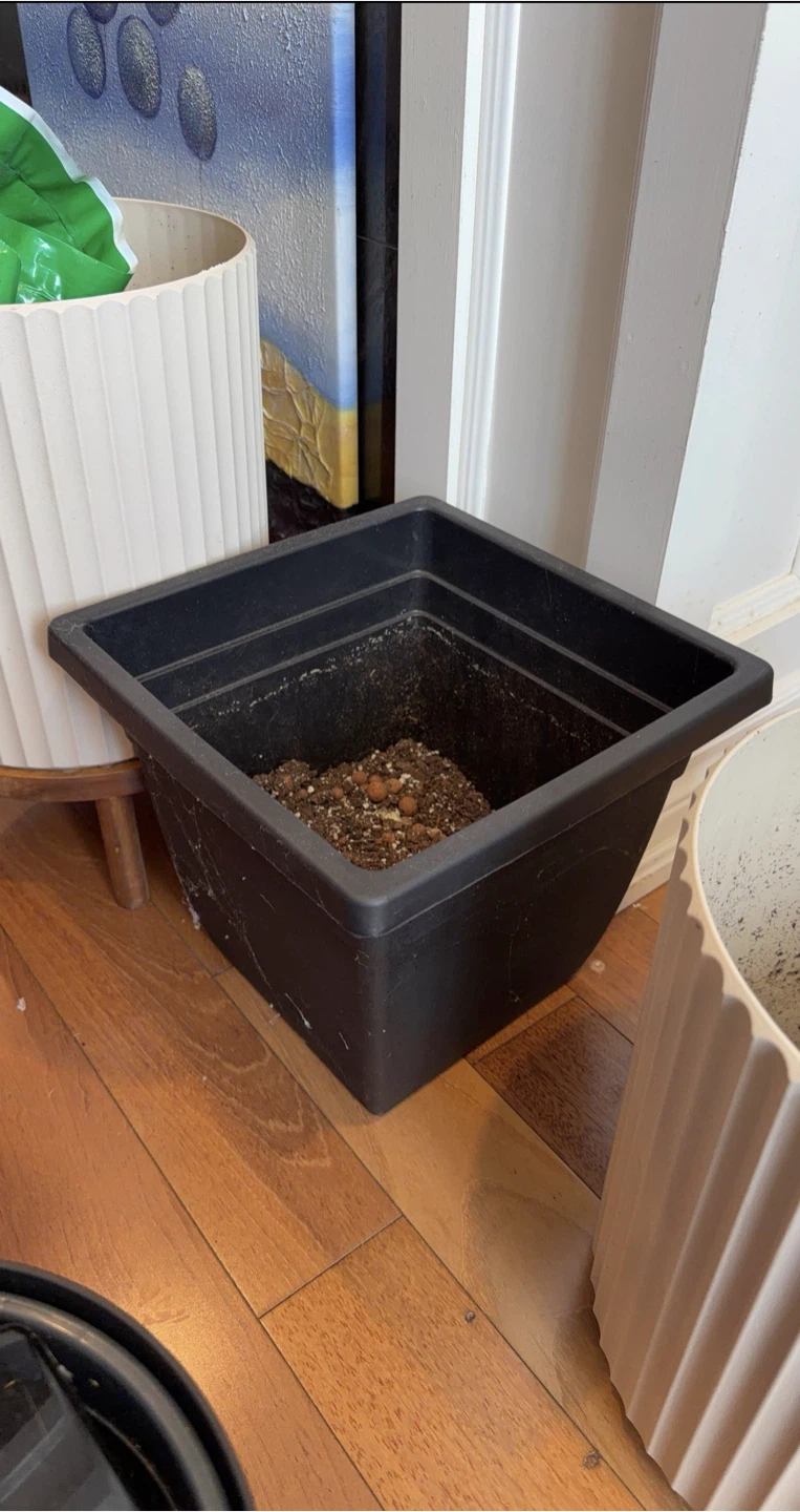 Black Square Plastic Plant Pot