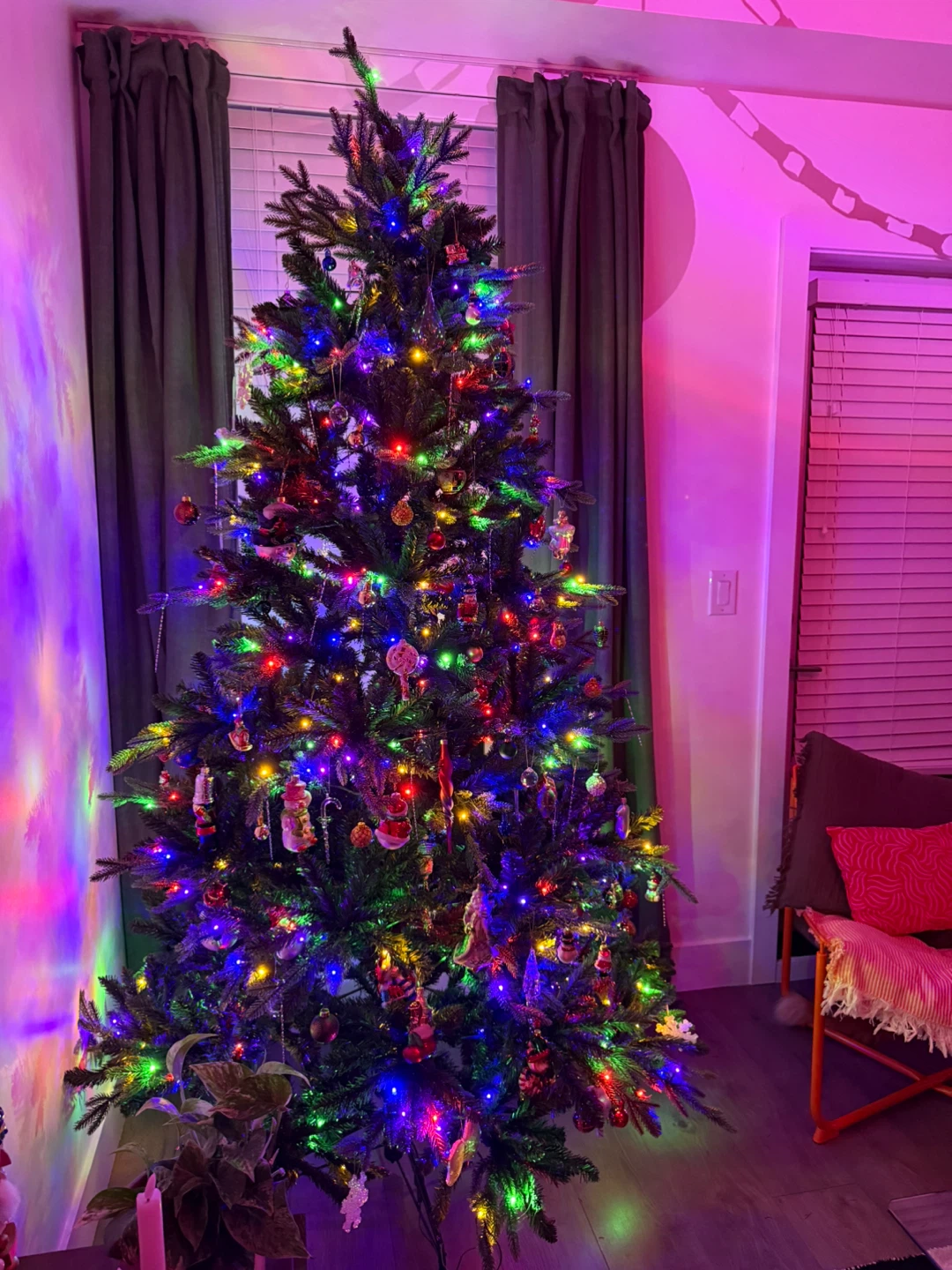 7.5ft. Pre-Lit Windsor Spruce Artificial Christmas Tree