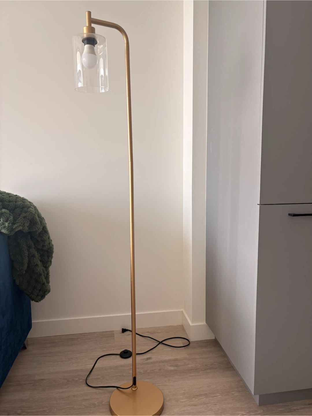 Modern Gold Floor Lamp with Glass Shade