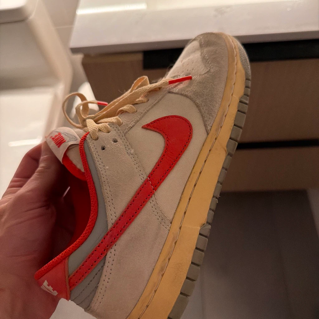 Nike Dunk Low Sneakers