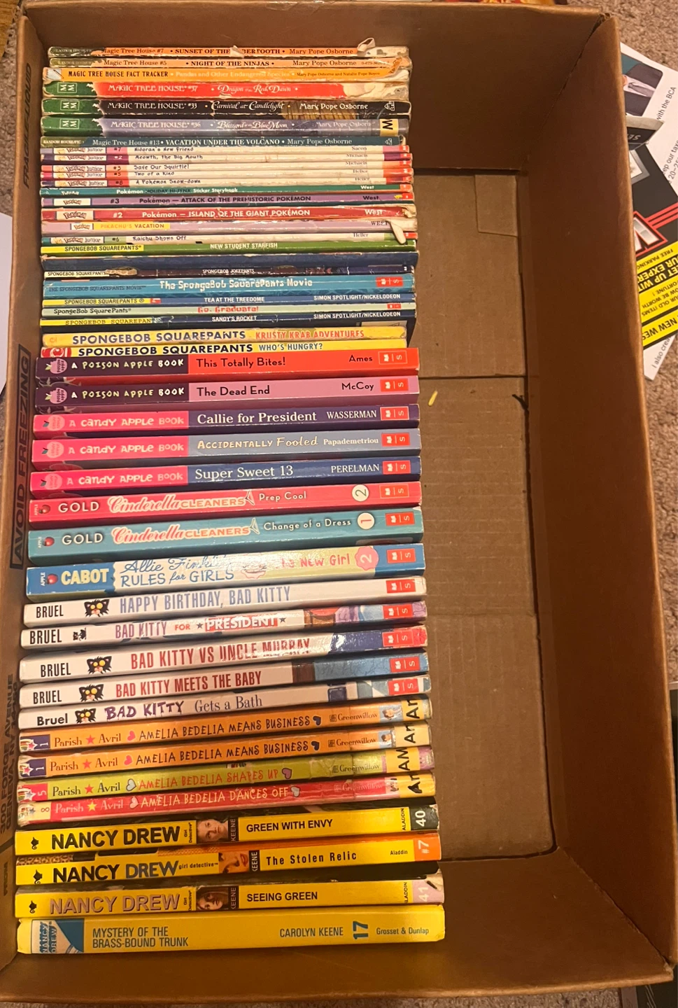 Assorted Children's Books Bundle