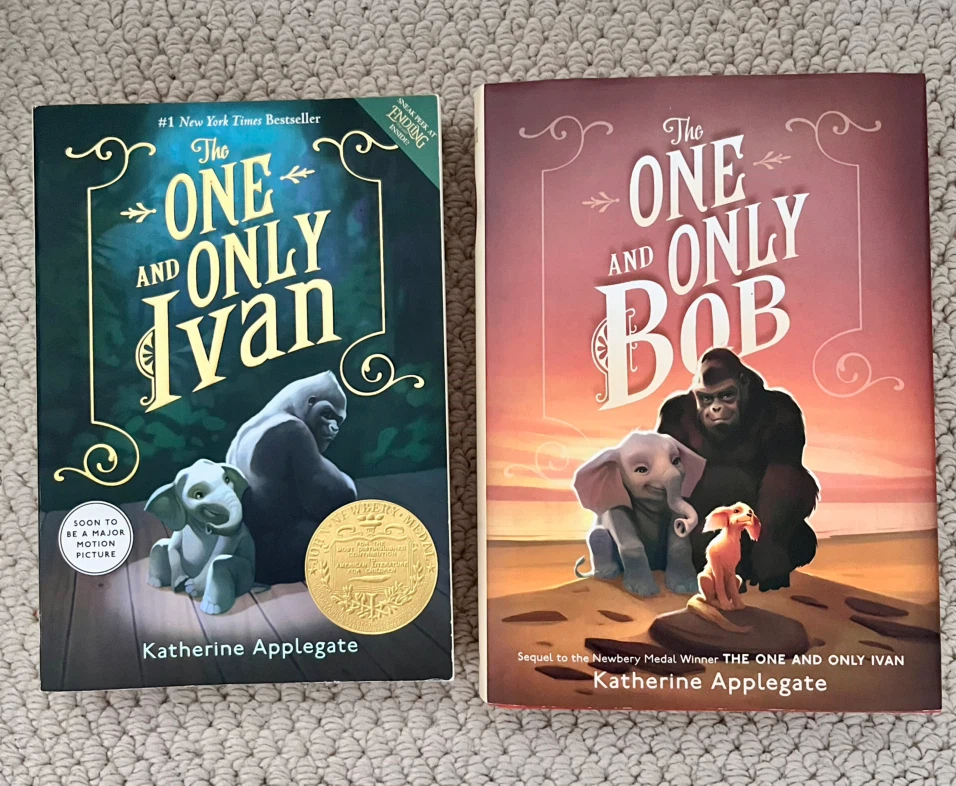 Pre teen books
