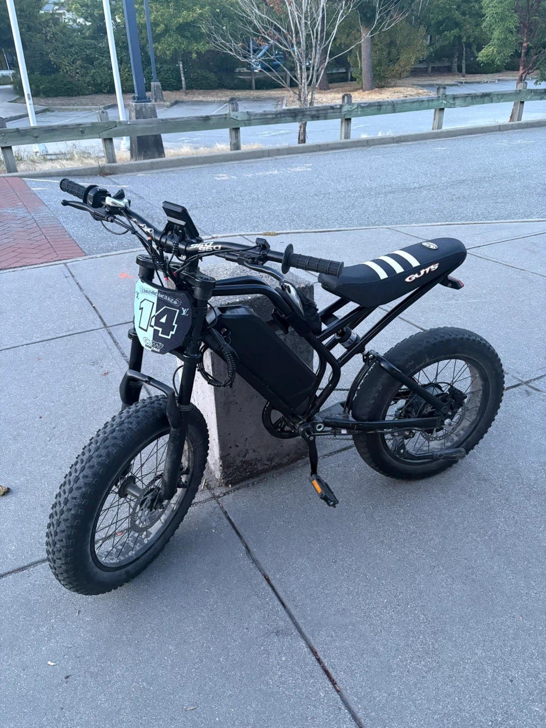 Eskute v300 ebike
