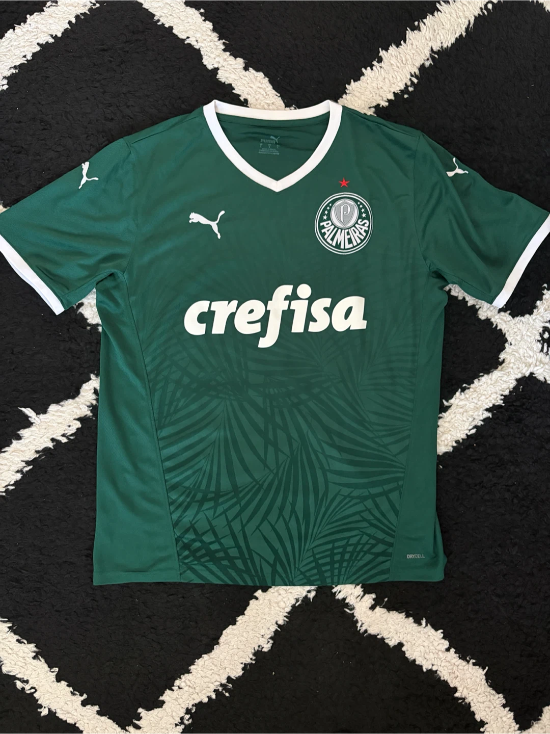 Palmeiras 2022 Home Jersey