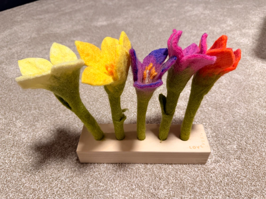 Lovevery Montessori Toy Bundle