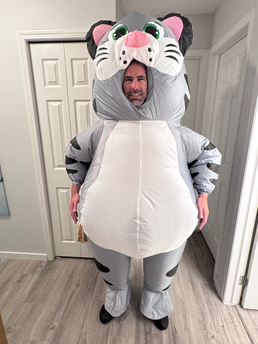 Spooktacular Inflatable Costume Adults, Cat Blow Up Costume