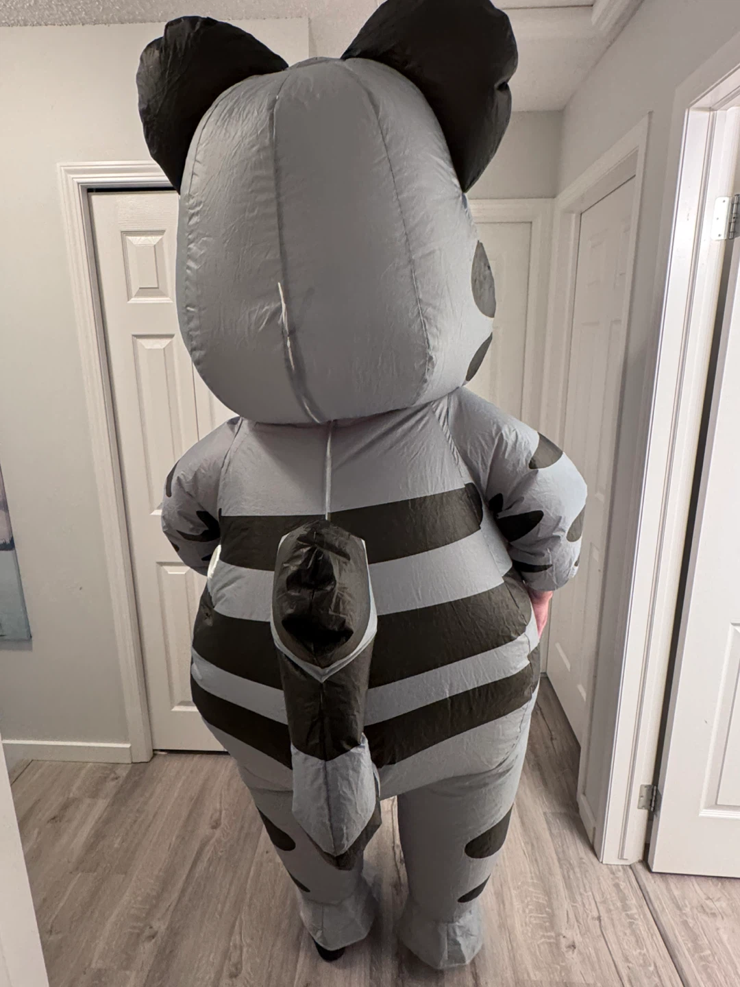 Spooktacular Inflatable Costume Adults, Cat Blow Up Costume - photo 3