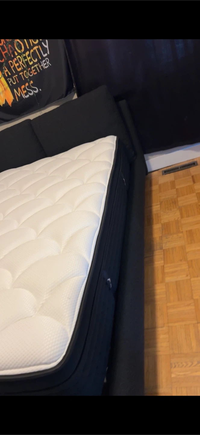 Dark blue padded Bed Frame only