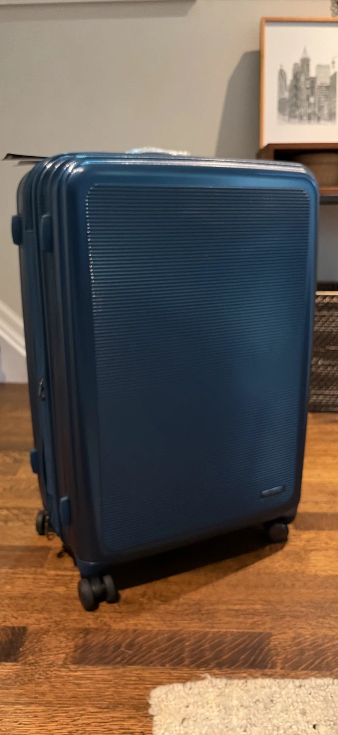 Samsonite Navy check in large Spinner