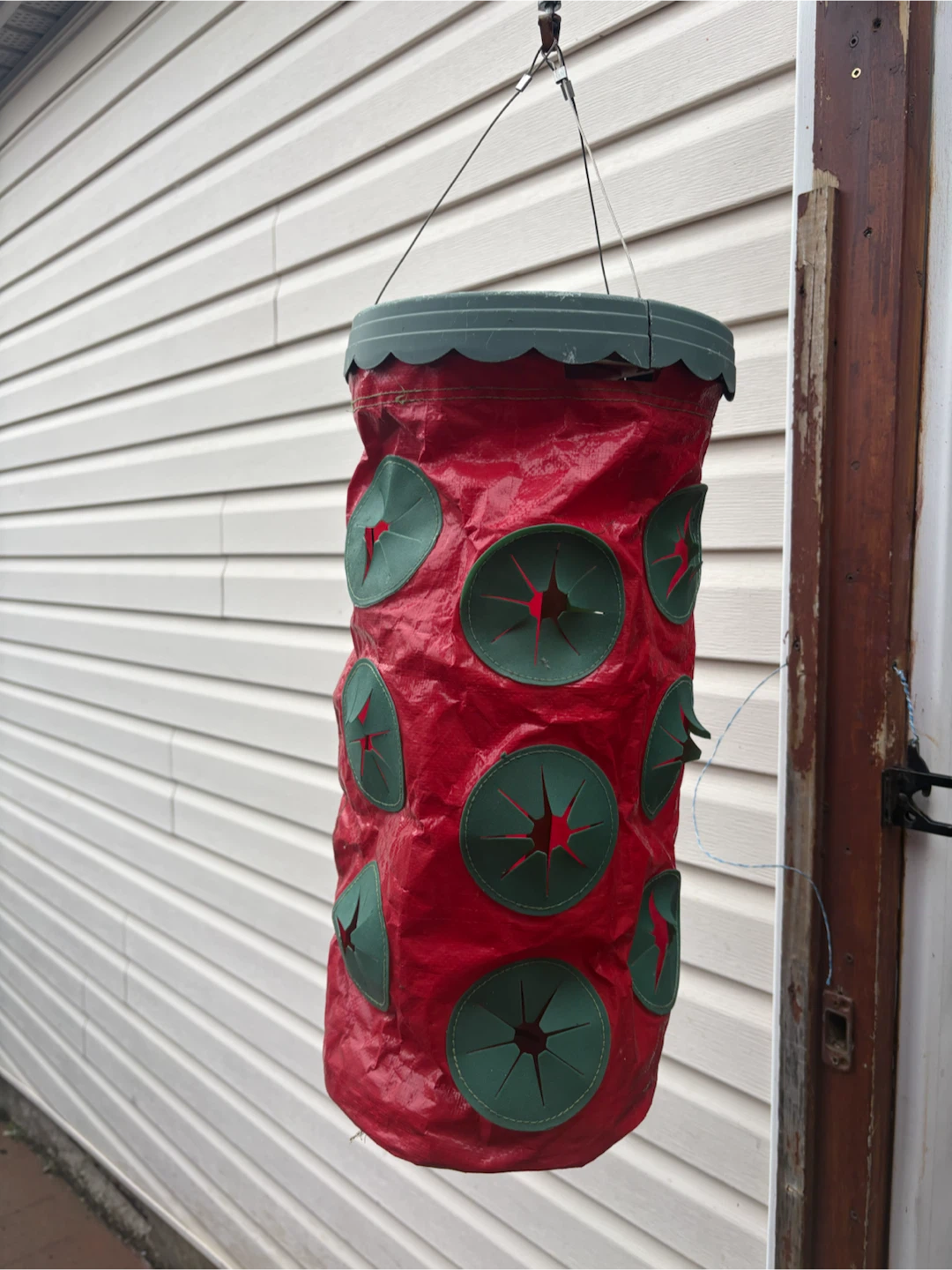 Hanging Tomato Planter