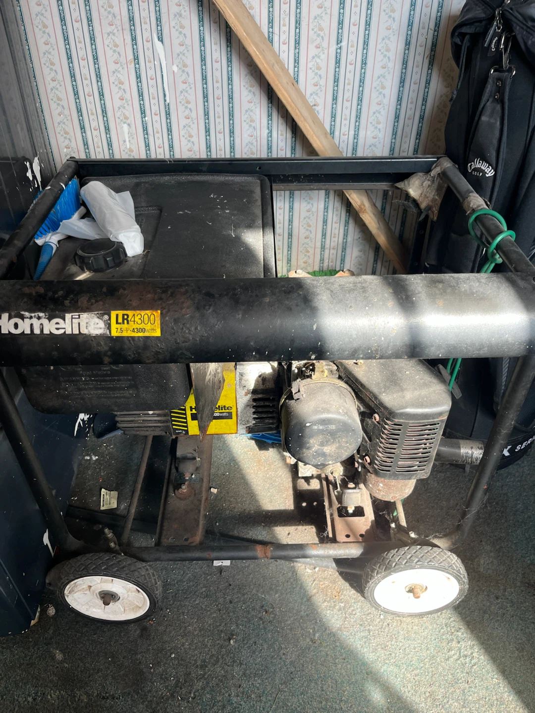 Homelite LR4300 Generator - photo 2