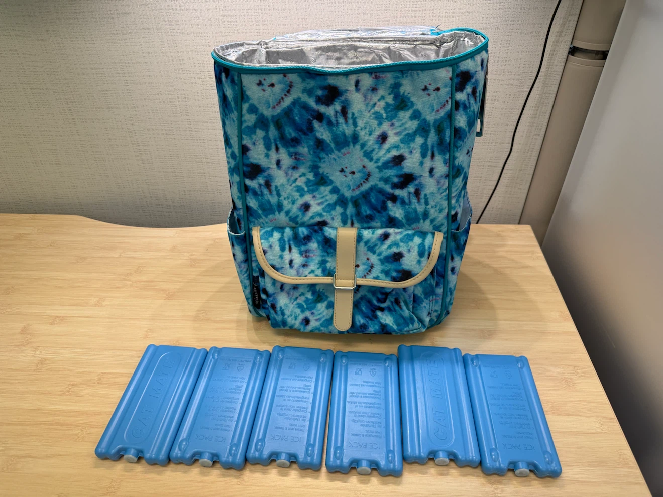 Tie-Dye Cooler Backpack with 6 Ice Packs
