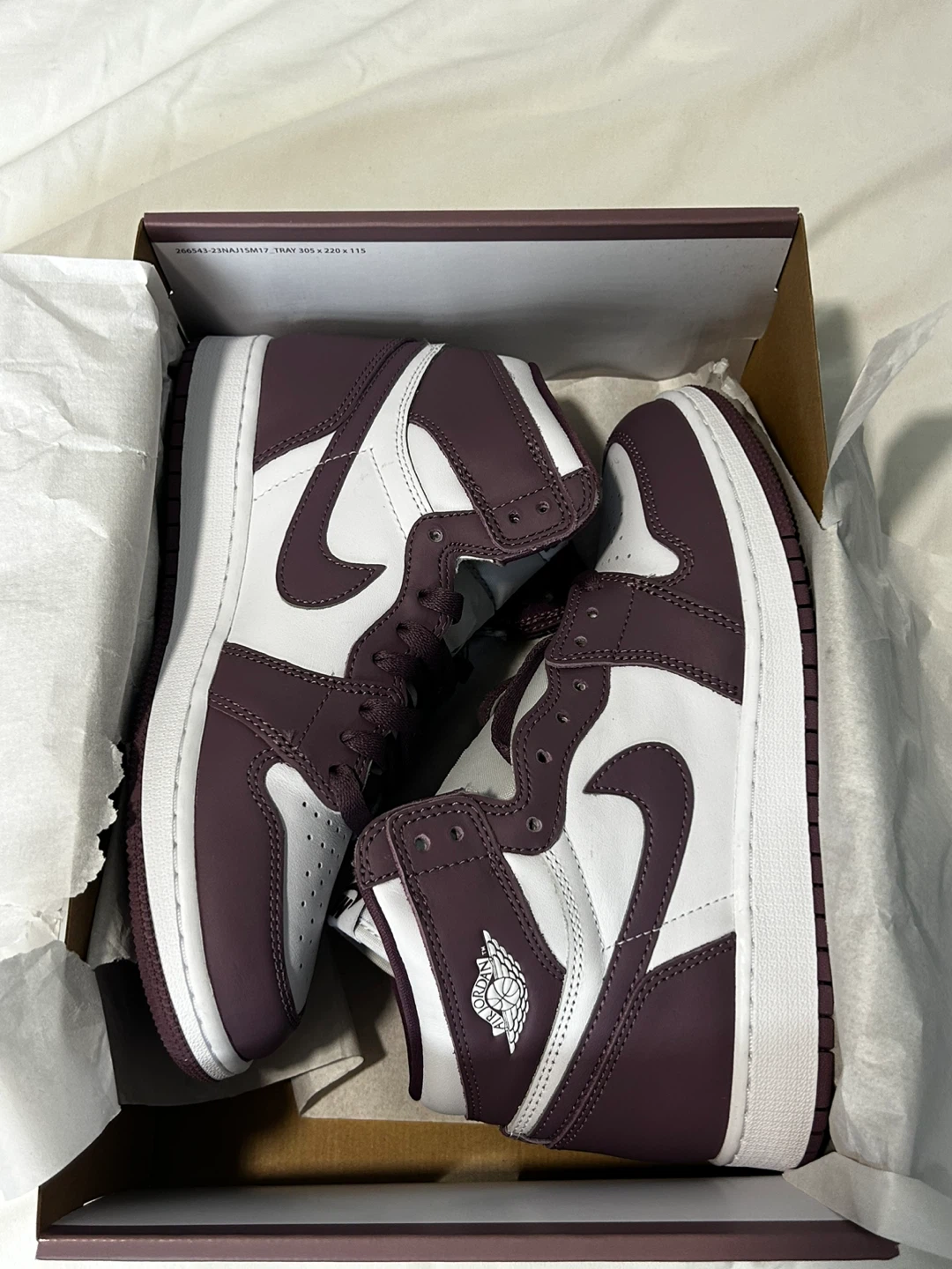Nike Air Jordan 1 Retro High OG Mauve
