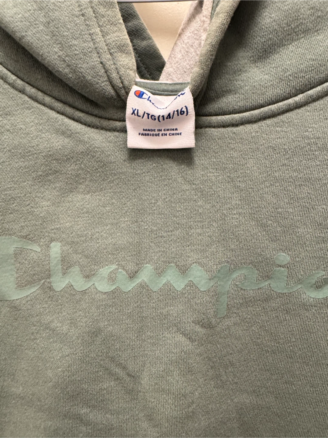 Champion Sage Green Hoodie XL (14/16) - photo 2