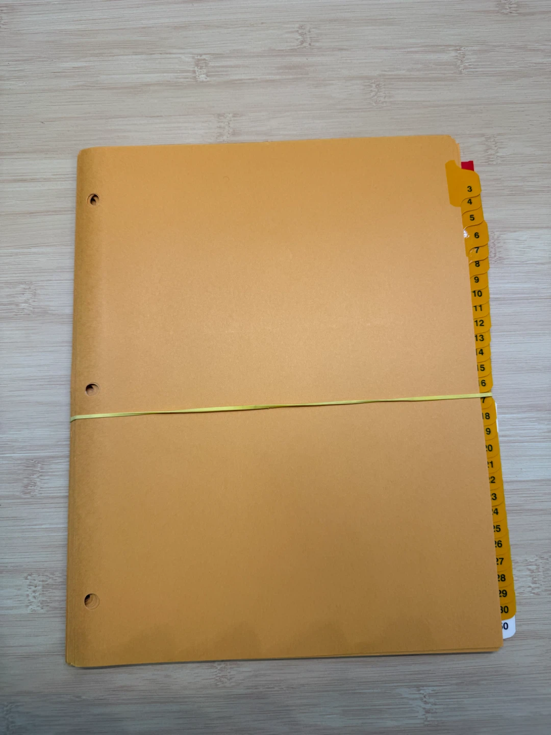 Numbered Tabbed Dividers Set