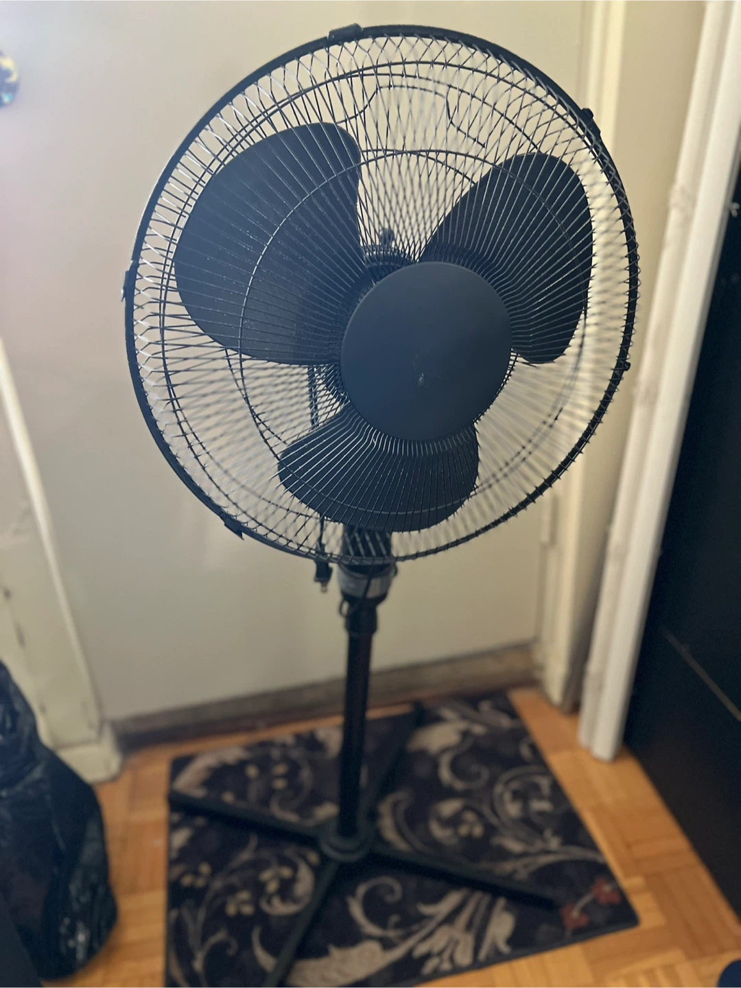 Black Standing Pedestal Fan
