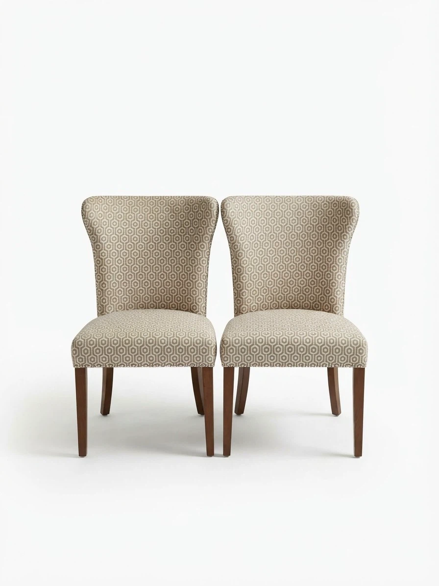 Set of two patterned dining chairs