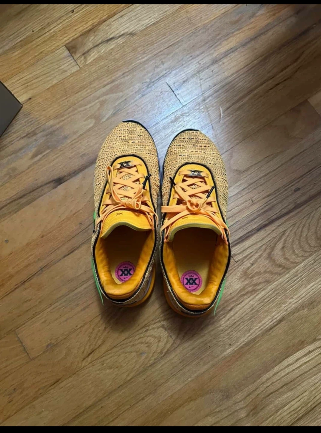 Nike LeBron Basketball Shoes