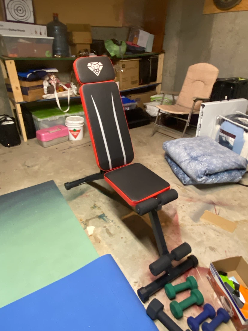 Adjustable Weight Bench with Lion Logo