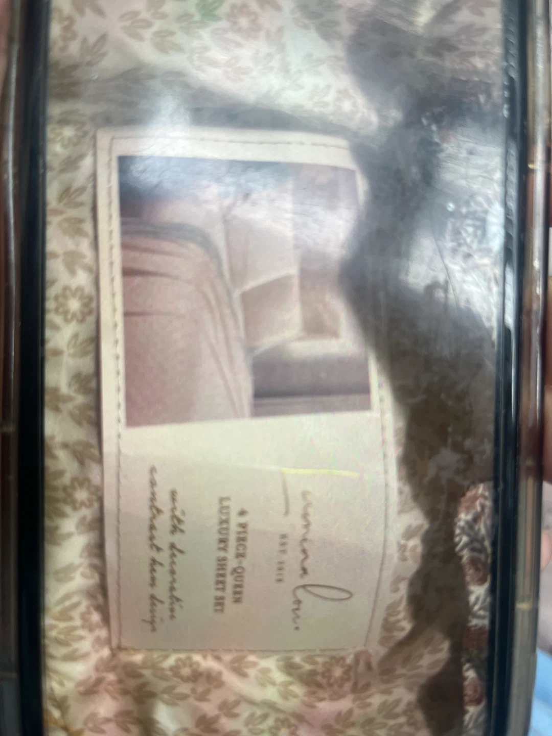 Lumina Love 4-Piece Queen Sheet Set
