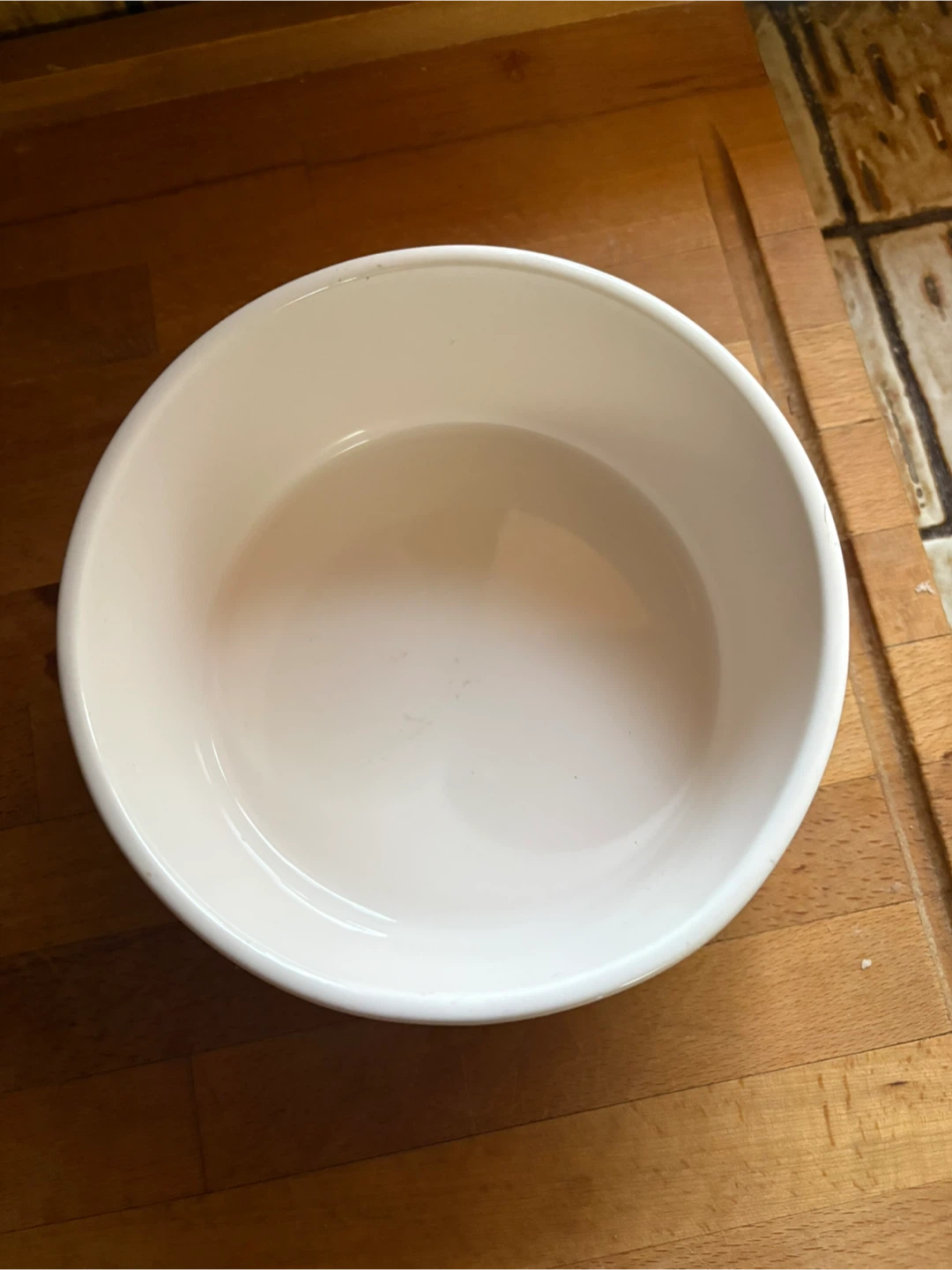 Rae Dunn Devour Ceramic Pet Bowl - photo 3