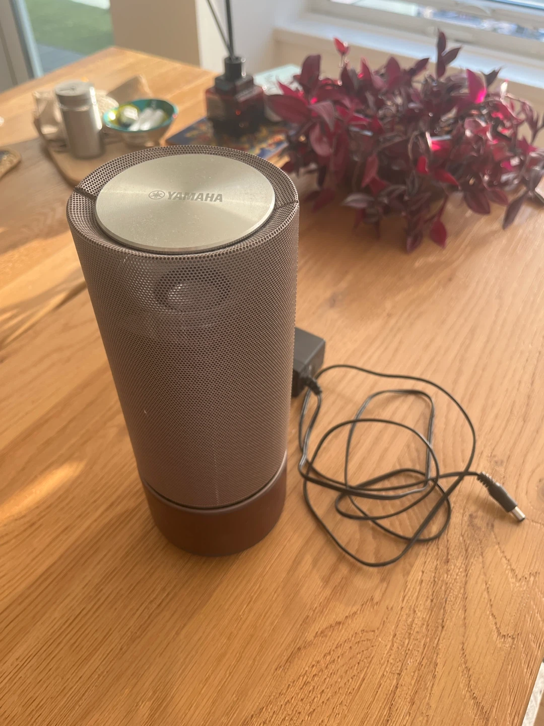 Yamaha Portable Speaker