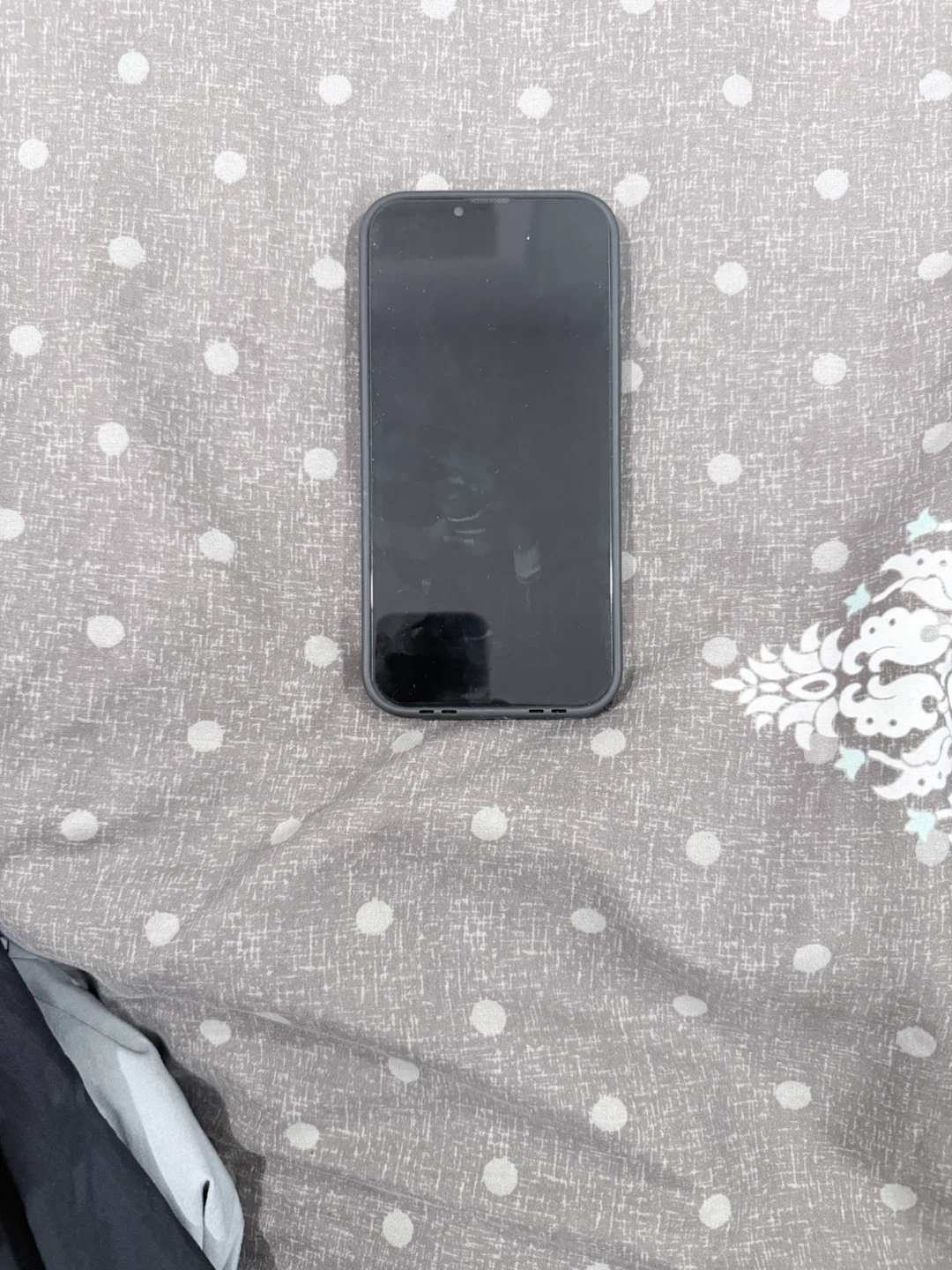 iPhone 13 Pro Max - photo 2