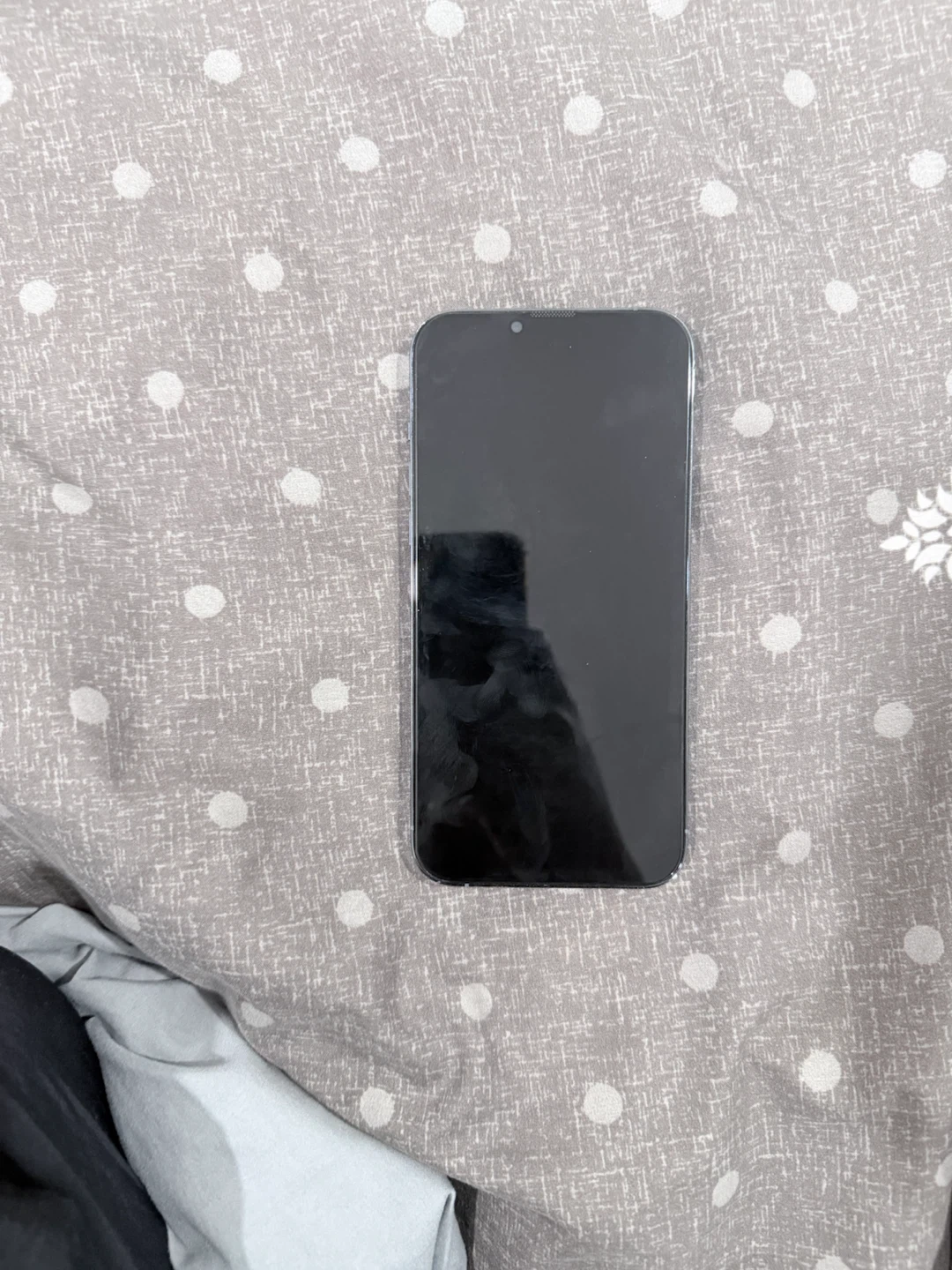 iPhone 13 Pro Max - photo 4